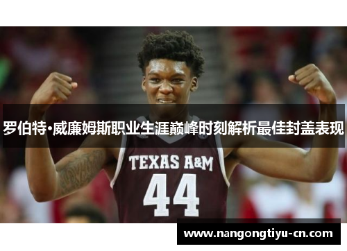 罗伯特·威廉姆斯职业生涯巅峰时刻解析最佳封盖表现