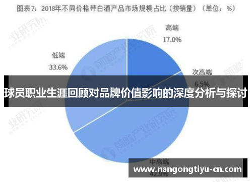 球员职业生涯回顾对品牌价值影响的深度分析与探讨