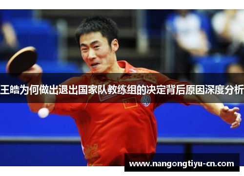 王皓为何做出退出国家队教练组的决定背后原因深度分析